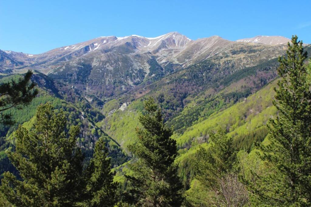 F2 Classe 3 Etoiles Vue Montagne, Exterieur Clos 泰克河畔阿尔莱 外观 照片